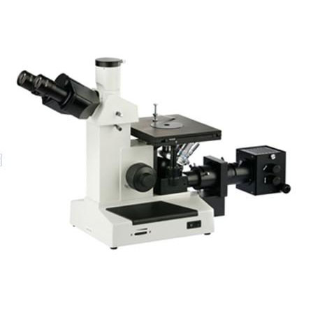 ������Ŀ������΢��